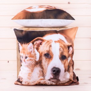 Poszewka ozdobna Foto 40x40 cm Pies i kot 2