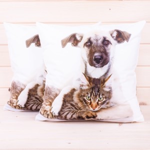 Poszewka ozdobna Foto 40x40 cm Pies i kot 4