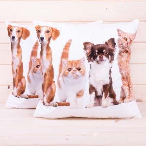 Poszewka ozdobna Foto 40x40 cm Psy i koty 3