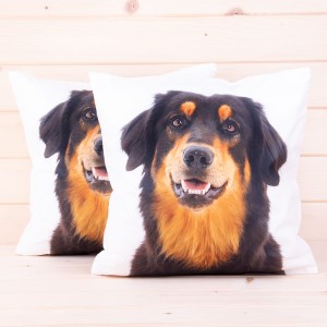 Poszewka ozdobna Foto 40x40 cm Pies wzór 1