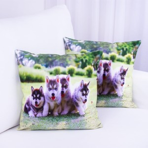 Poszewka ozdobna Foto 40x40 cm Husky PA-115