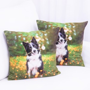 Poszewka ozdobna Foto 40x40 cm Pies na łące PA-251