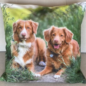 Poszewka ozdobna Foto 40x40 cm Tollery PA-217